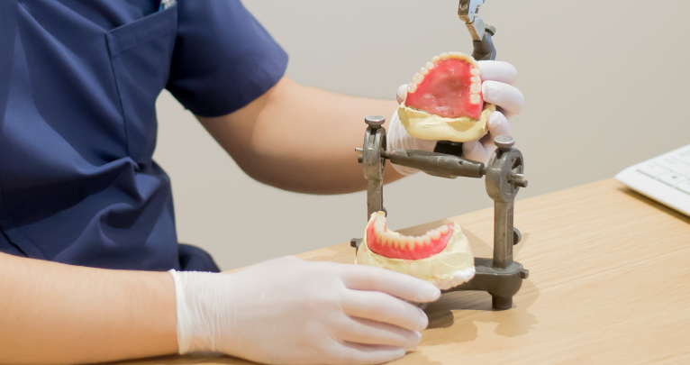 入れ歯 （部分入れ歯、総入れ歯）